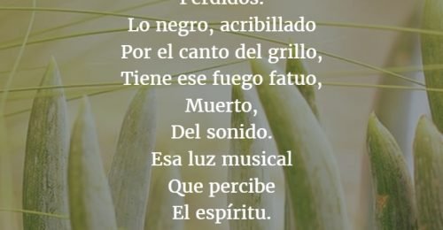 Los mejores poemas de FEDERICO GARCÍA LORCA 【Versos】