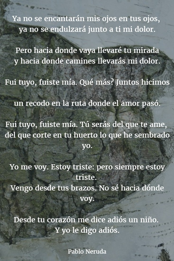 Poemas de pablo neruda 6